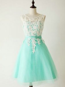 High Class Tulle Sleeveless Knee Length Dama Dress for Quinceanera and Lace