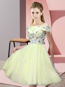 Gorgeous Tulle Short Sleeves Knee Length Court Dresses for Sweet 16 and Appliques