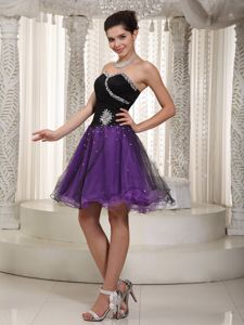 Organza Puffy Beaded Two-Toned Dama Dress for Quinceanera