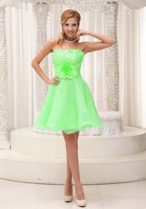Hand Made Flowers Strapless Damas Dresses in Spring Green