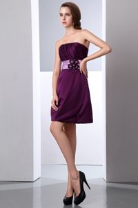 Dark Purple Mini Dama Dress for Quinceaneras with Flower and Ruching