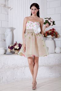 Organza Colorful Short Dama Dresses with Floral Embellishment