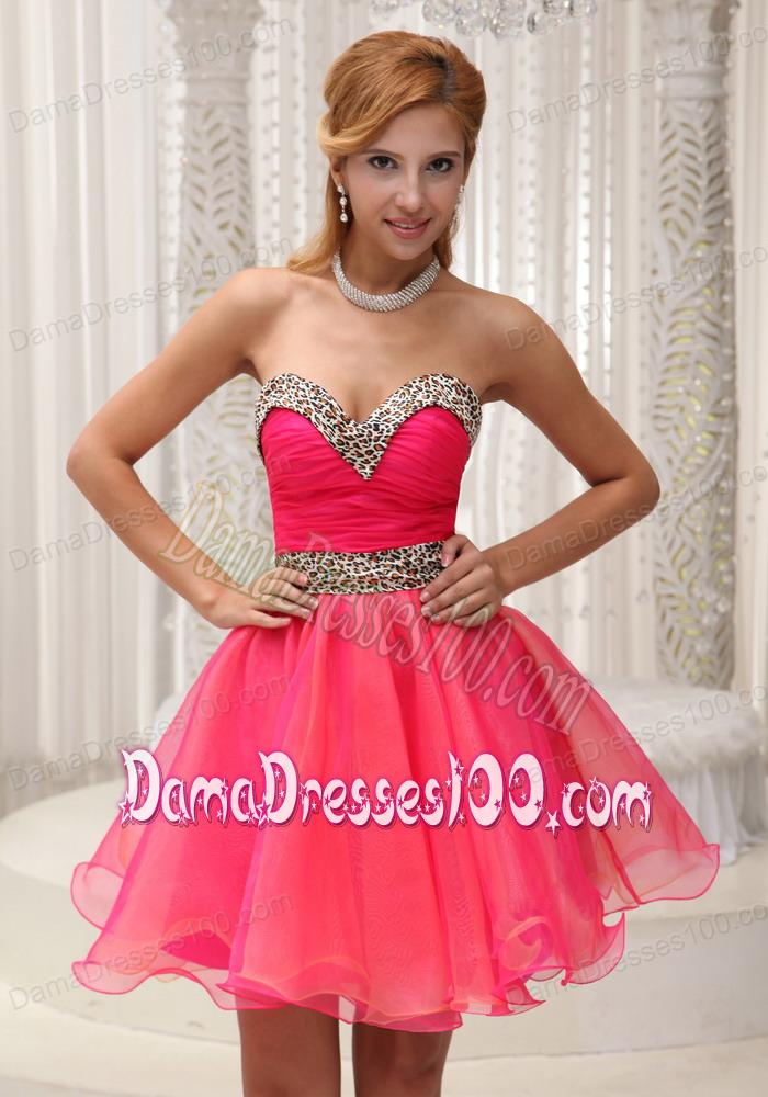 Ruched Bodice and Leopard Coral Red Lovely Dama Dress 652
