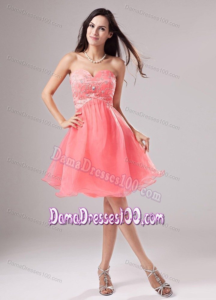 Cute Dama Dresses-Sweet 15 Dama Dresses-Short Dama Dresses 100
