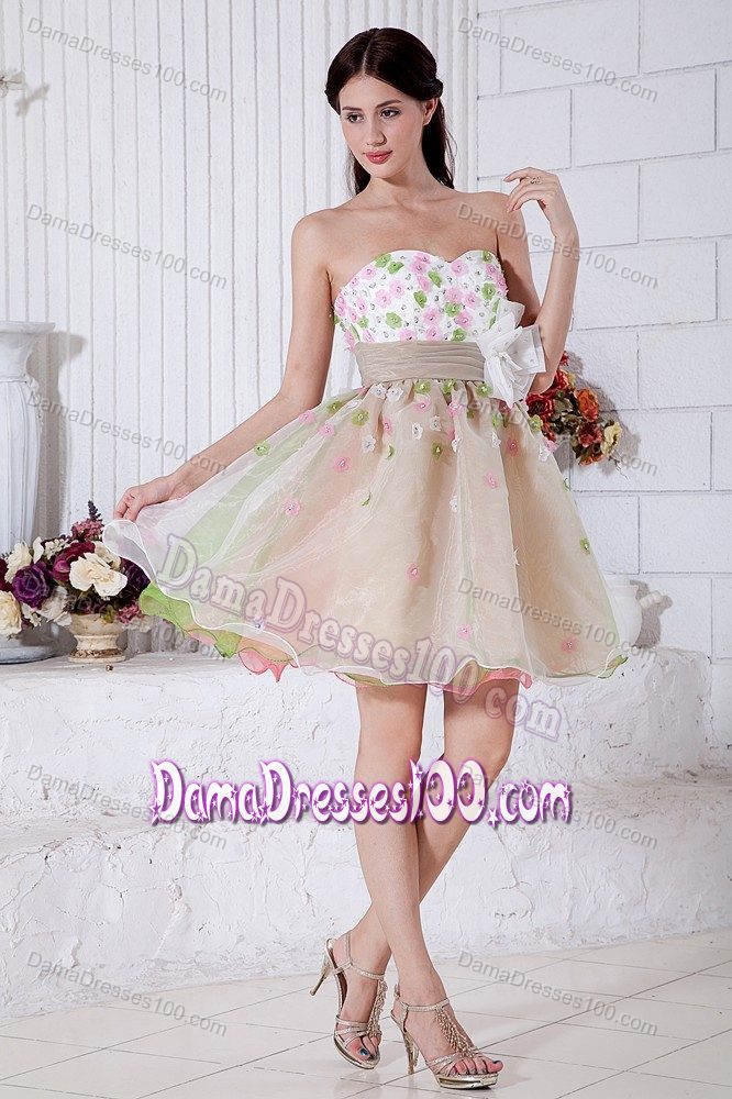 Organza Colorful Short Dama Dresses with Floral Embellishment