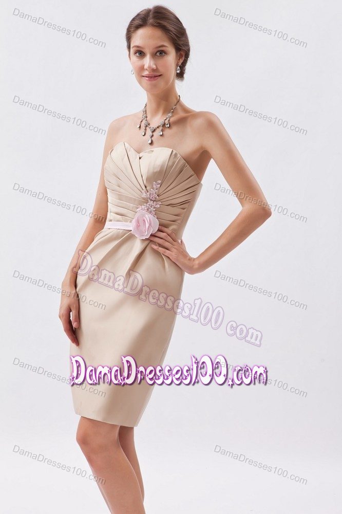 Sheath Ruched Appliqued Short Dress for Damas in Champagne