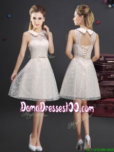 Classical See Through Turndown Applique Dama Dress in Lace