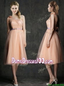 Wonderful One Shoulder Dama Dress with Sashes and Bowknot