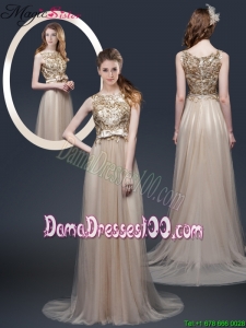 Luxurious Brush Train Dama Dresses with Appliques and Bowknot