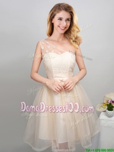 Affordable One Shoulder Champagne Dama Dress with Laced Bodice and Appliques