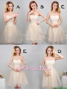Fashionable Tulle Champagne Short Dama Dress with Laced Bodice and Appliques