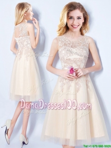 New Style Scoop Tulle Applique Bodice Champagne Dama Dress in Knee Length