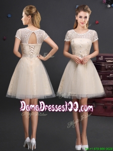 Beautiful See Through Short Sleeves Champagne Dama Dress with Scoop