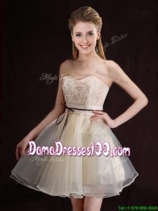 Gorgeous Belted and Applique Short Dama Dress in Organza