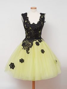 Yellow Ball Gowns Lace Quinceanera Court of Honor Dress Zipper Tulle Sleeveless Knee Length
