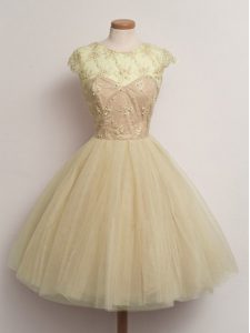 Knee Length Champagne Dama Dress Tulle Cap Sleeves Lace