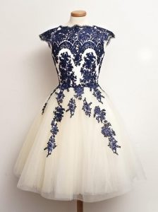 Custom Fit Blue And White Lace Up Quinceanera Court Dresses Appliques Sleeveless Mini Length