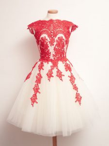 High Quality Scalloped Sleeveless Tulle Dama Dress for Quinceanera Appliques Lace Up
