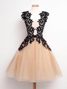 Sleeveless Knee Length Lace Lace Up Quinceanera Dama Dress with Champagne