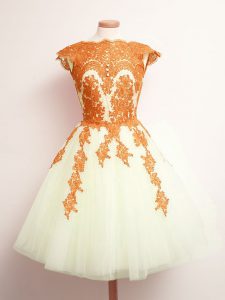 Most Popular Multi-color Scalloped Lace Up Appliques Quinceanera Dama Dress Sleeveless
