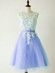 Delicate Light Blue A-line Lace Quinceanera Dama Dress Lace Up Tulle Sleeveless Knee Length