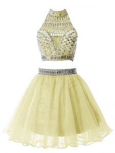 Free and Easy Organza High-neck Sleeveless Zipper Beading Quinceanera Dama Dress in Yellow