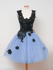 Light Blue Ball Gowns Lace Vestidos de Damas Zipper Tulle Sleeveless Knee Length