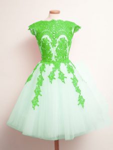 Modern Multi-color Tulle Lace Up Scalloped Sleeveless Mini Length Quinceanera Dama Dress Appliques