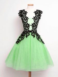 Exceptional Tulle Straps Sleeveless Lace Up Lace Damas Dress in