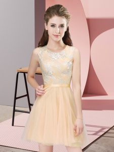 On Sale Champagne A-line Lace Court Dresses for Sweet 16 Side Zipper Tulle Sleeveless Mini Length