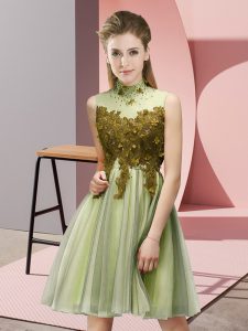 High-neck Sleeveless Court Dresses for Sweet 16 Knee Length Appliques Yellow Green Tulle