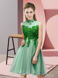 High-neck Sleeveless Damas Dress Knee Length Appliques Apple Green Tulle