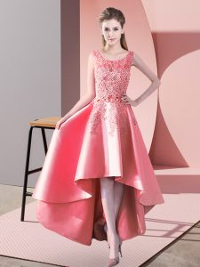 Elegant Sleeveless Lace Zipper Quinceanera Court Dresses