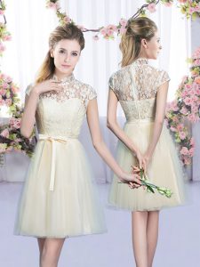 Exceptional Champagne Cap Sleeves Tulle Lace Up Quinceanera Court of Honor Dress for Wedding Party