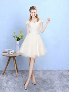 White Empire Lace Dama Dress for Quinceanera Lace Up Tulle Cap Sleeves Knee Length