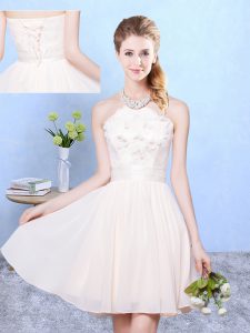 Most Popular Baby Pink Lace Up Halter Top Lace Quinceanera Court Dresses Chiffon Sleeveless